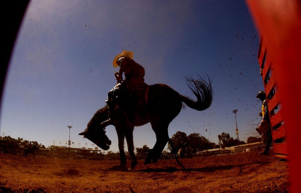 Andrew Pippos’ The Transformations: a touching story of love, loss and newspapers