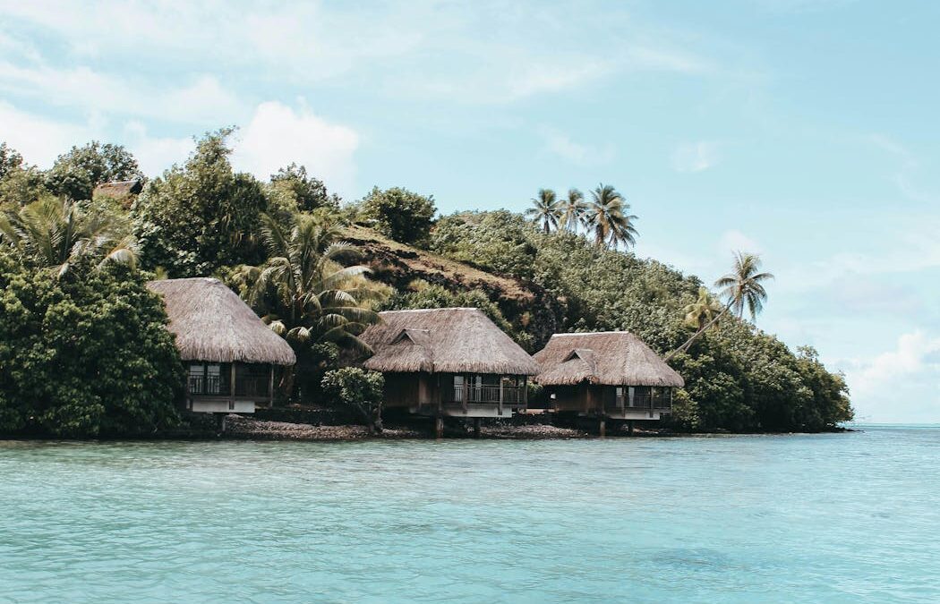 Planning your next holiday? Here’s how to spot and avoid greenwashing