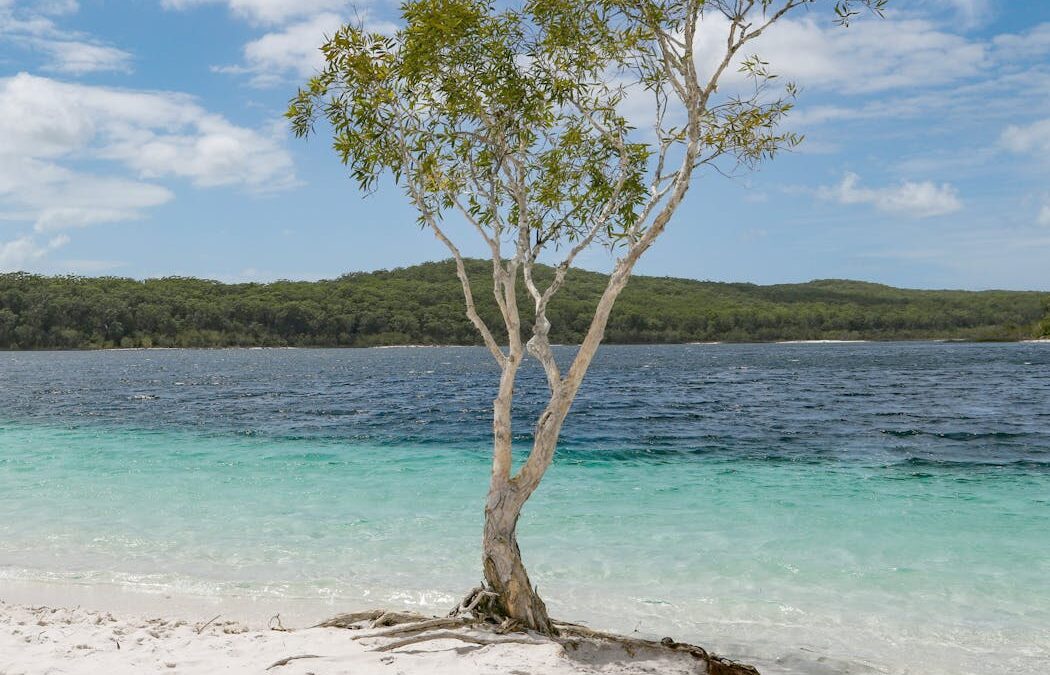 K’gari’s unique ancient lakes once dried out. Could this happen again?
