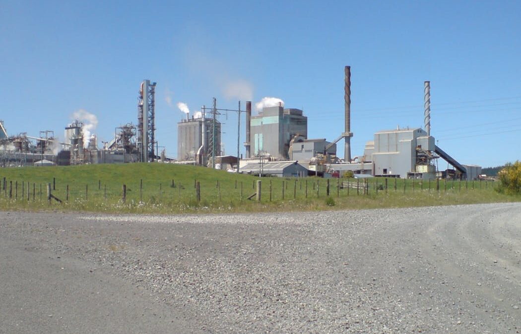 Through the mill: Tokoroa’s tough year was about much more than job losses