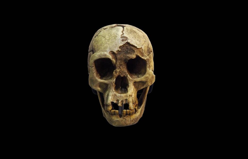 The ‘hobbits’ mysteriously disappeared 50,000 years ago. Our new study reveals what happened to their home