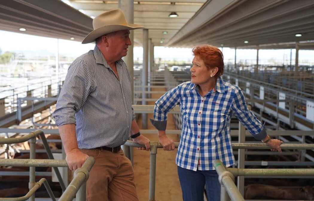 Barnaby Joyce joins One Nation to run as NSW Senate candidate in 2028