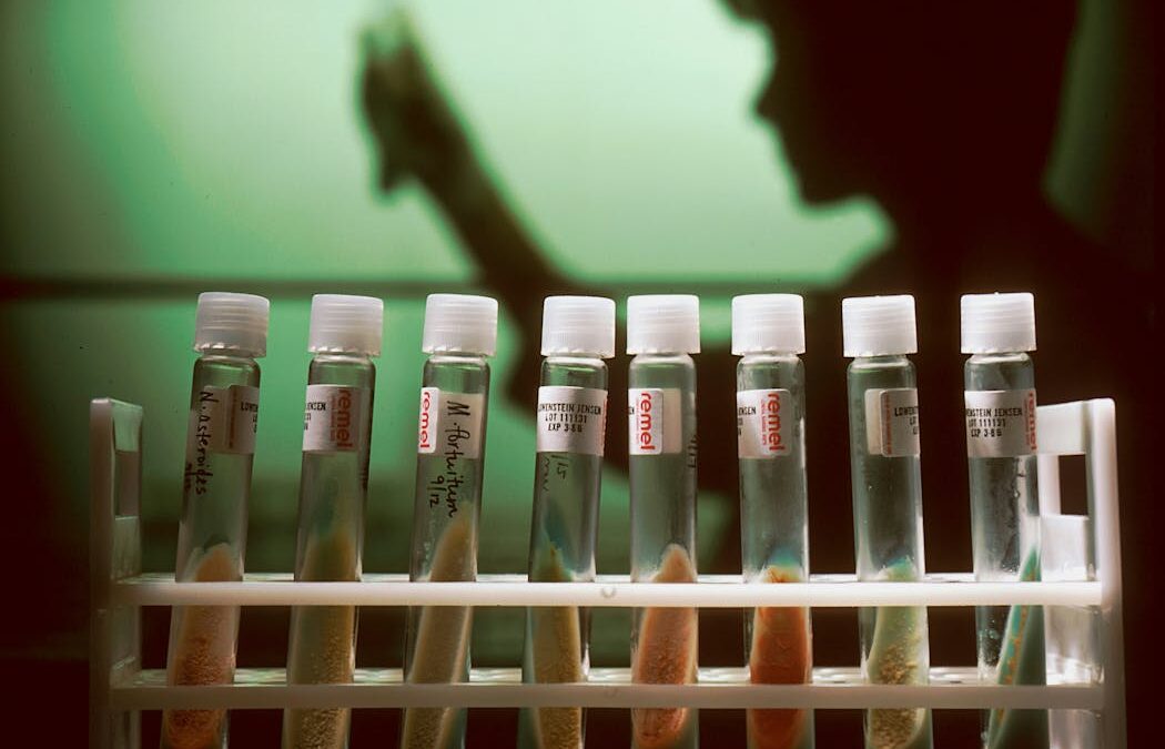 Should Australia establish an independent body to investigate scientific misconduct? We asked 5 experts