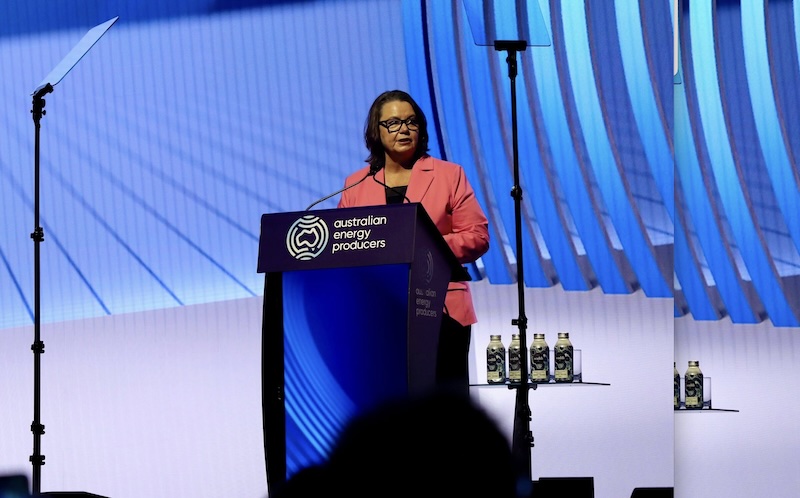 A gas betrayal. King plan favours foreign buyers, gas cartel over mums and dads