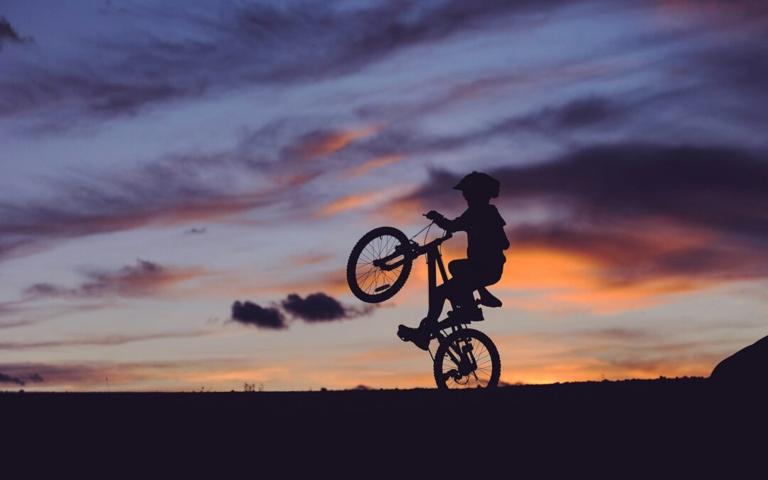 Wheelies on Boxing Day. Did Barnaby Joyce ruin Christmas for e-bike riders?