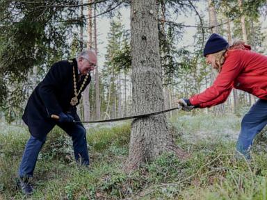 Norway donates a Christmas tree to London every year. Here’s how the tradition began