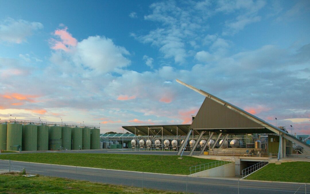 Fossil fuel downplays climate education; Matrak launches new AI tool; decarbonising wineries  