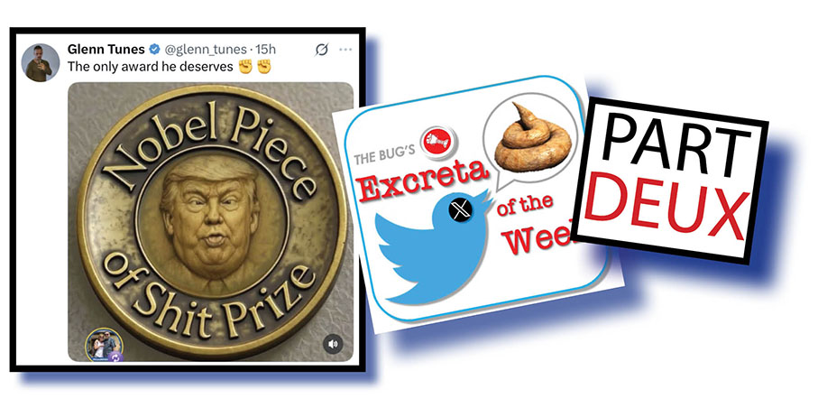 Birds of a fleecing feather!