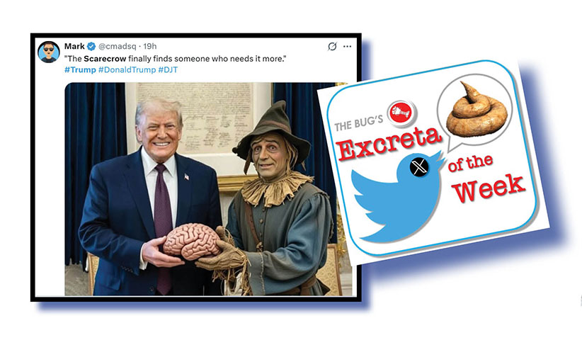 Memers give Trump a peace of their mind!