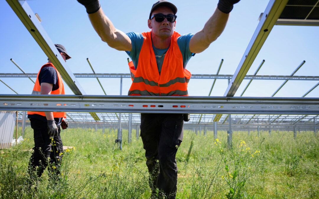 Renewables muscle fossil fuels out of EU electricity market, says research