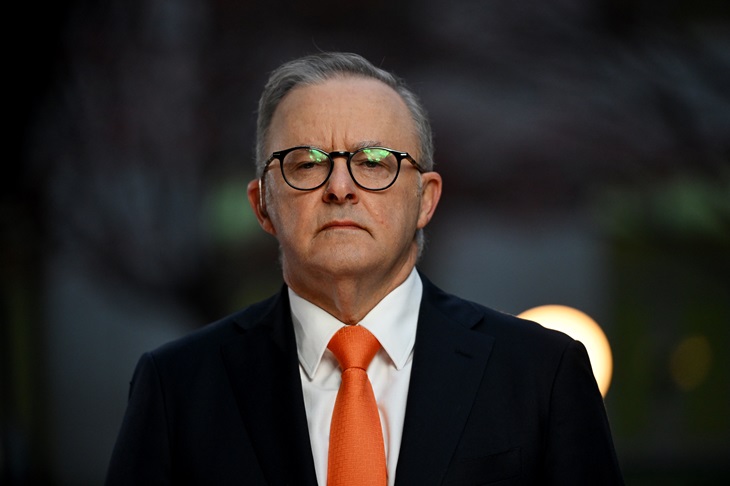 Albanese’s Trojan Horse omnibus bill