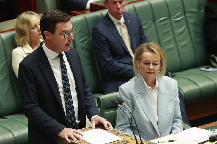 Brave Nationals defied Shadow Cabinet solidarity