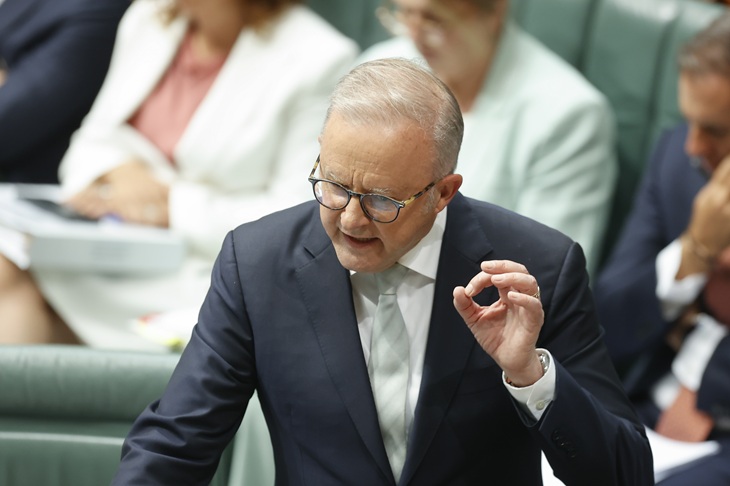 Albo delivers ‘dog’s breakfast’, claims antisemitism wasn’t Labor’s fault