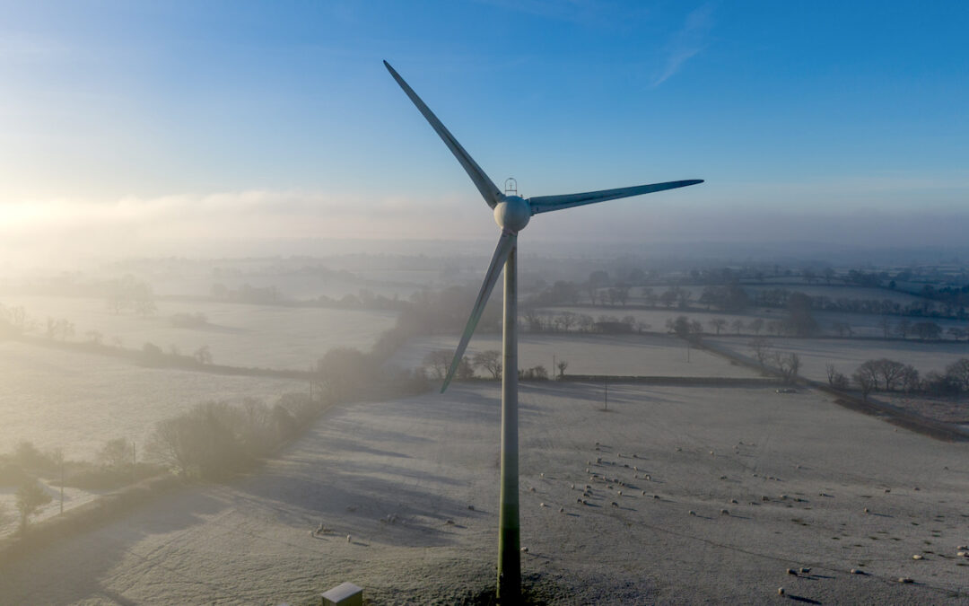 How much will net zero cost?