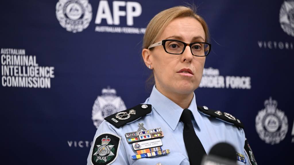 AFP appoints national security chief
