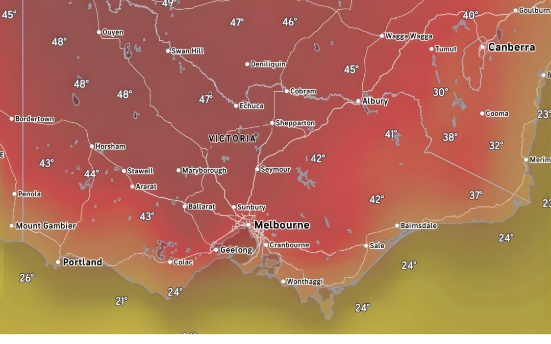 It’s hot in the oven and in the kitchen this week – as the wool is slowly but surely pulled from our eyes on housing
