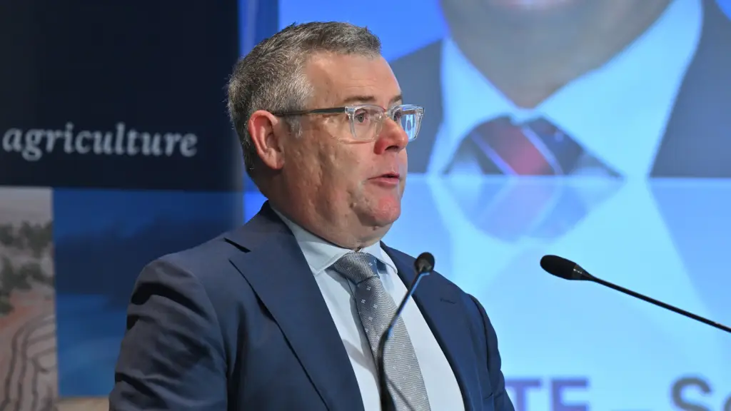 Offshore wind hinges on credible delivery, not just cost