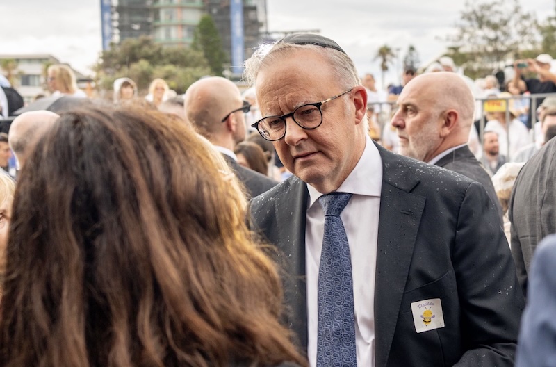 Albo’s “knights and dames” moment?