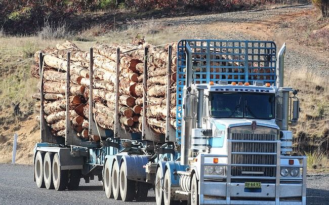 #3 TOP IA STORY OF 2025: High Court logging appeal decision a game changer