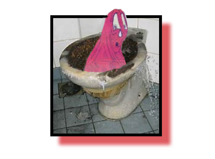 Bug back in Meta crapper!