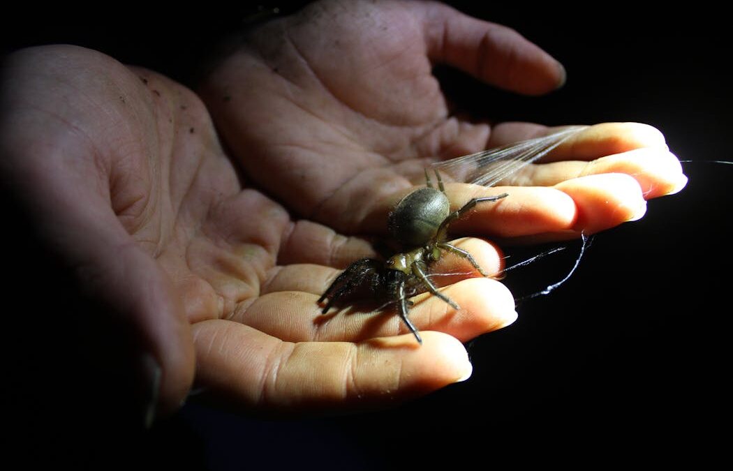 Are you a hellraiser mite or a knobbled weevil? Take the quiz and vote for NZ’s Bug of the Year