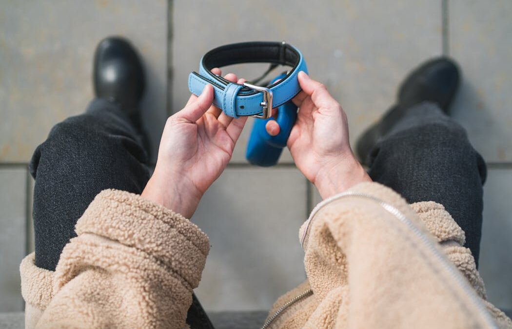 Why grieving a pet can be as hard as grieving a person