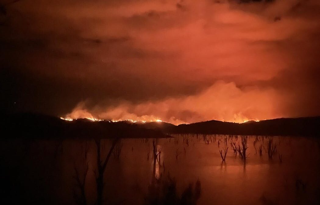 Rain one minute, heatwave the next. How climate ‘whiplash’ drives unpredictable fire weather