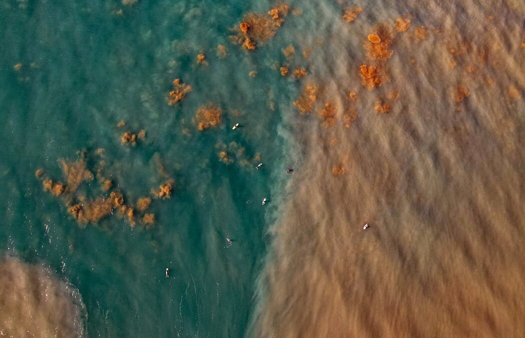 New study sheds light on the threat of ‘marine darkwaves’ to ocean life