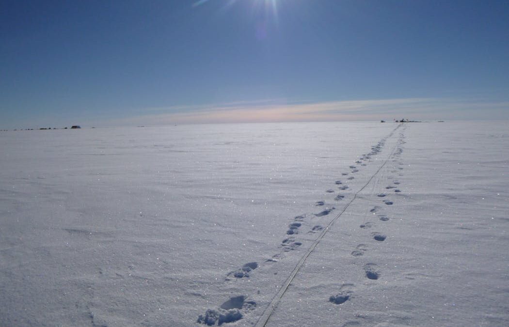 Beneath Antarctica’s largest ice shelf, a hidden ocean is revealing its secrets