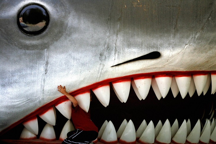 Government to ban all sharks from having teeth