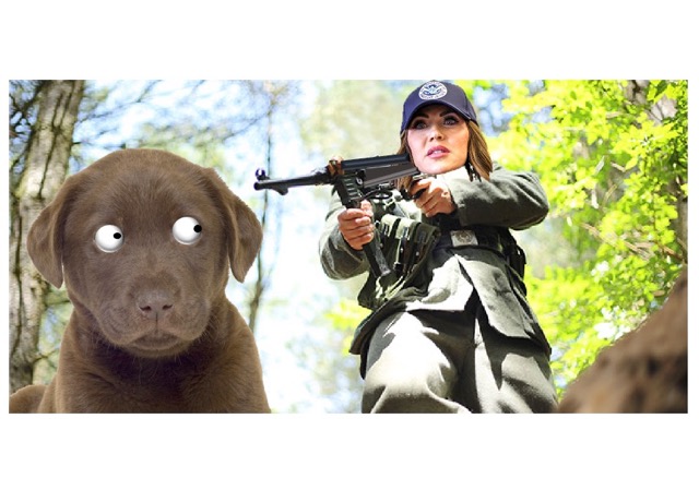 Noem shows dogged determination