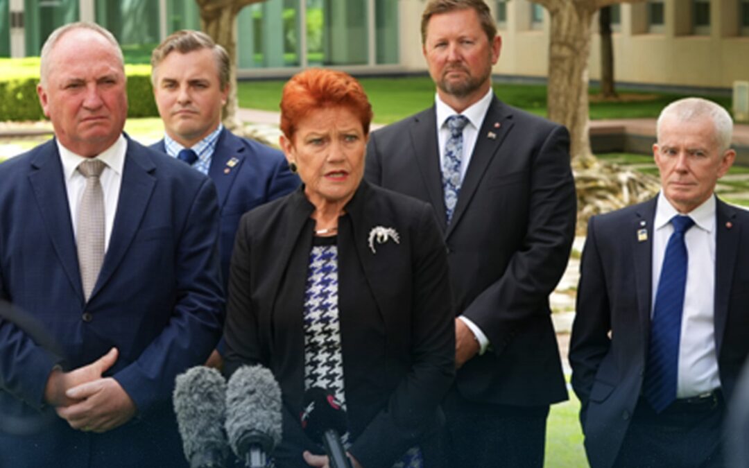 Why I joined One Nation