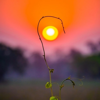 Making sense of record high markets as the world catches fire