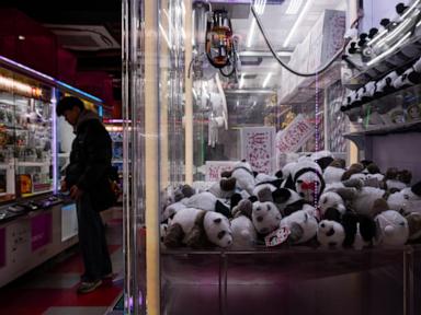 The last two pandas in Japan are leaving for China as ties are strained