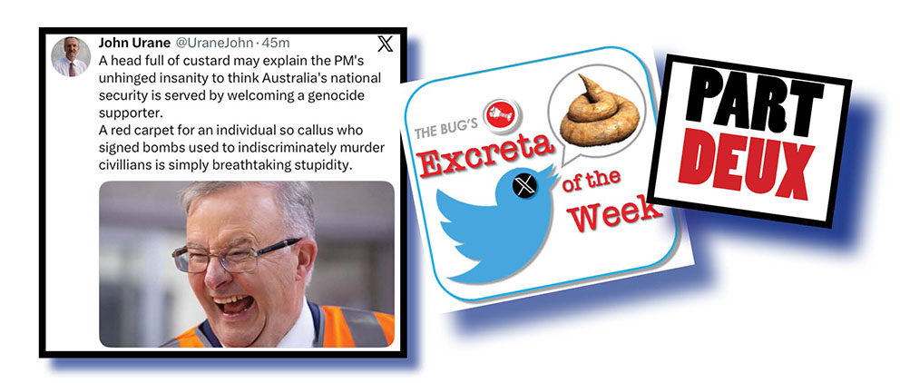 ALBO, WE’RE BAAACCKK!