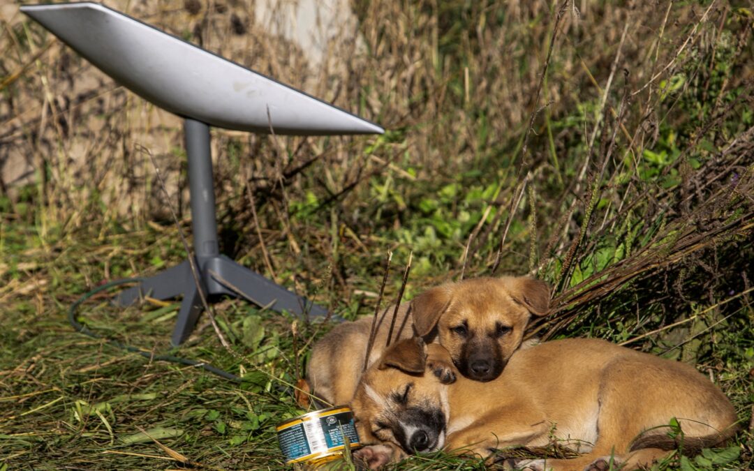 How does the cutoff of Starlink terminals affect Russia’s moves in Ukraine?