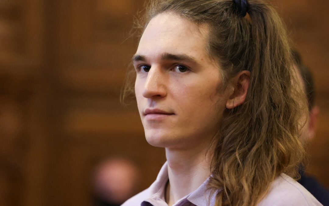 Hungary jails German activist for eight years over far-right rally attacks