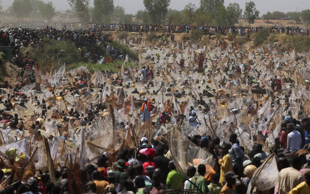 Nigeria’s Argungu fishing contest returns after years of pause