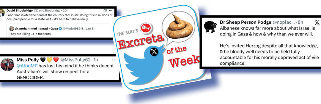 Albo pays price for talking crap!