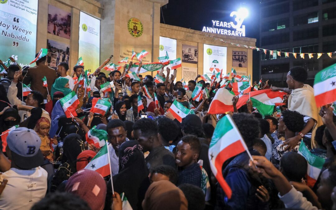 Somaliland minister says US may access its minerals, military bases: Report