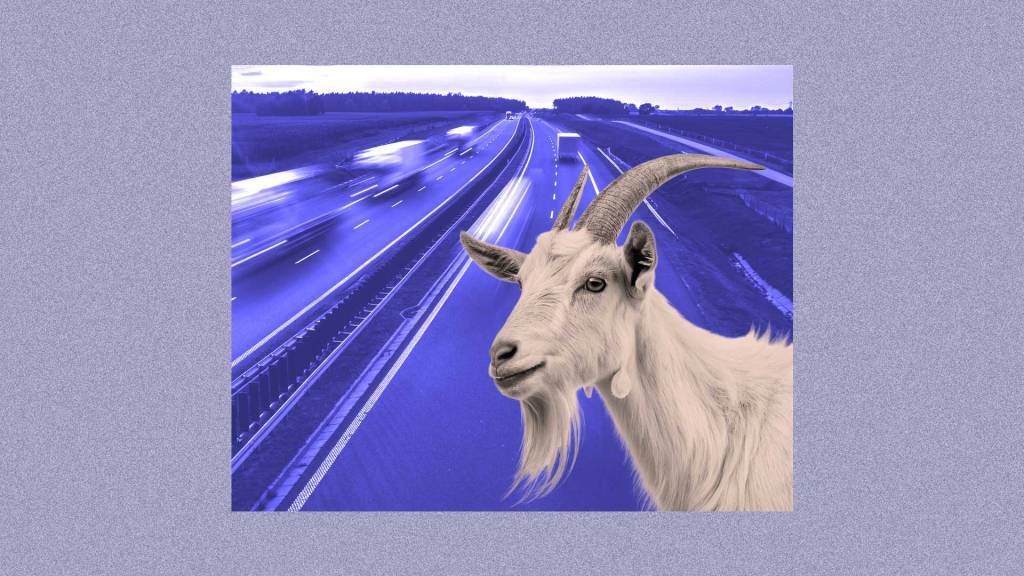 Stop building high-speed highways to goat tracks
