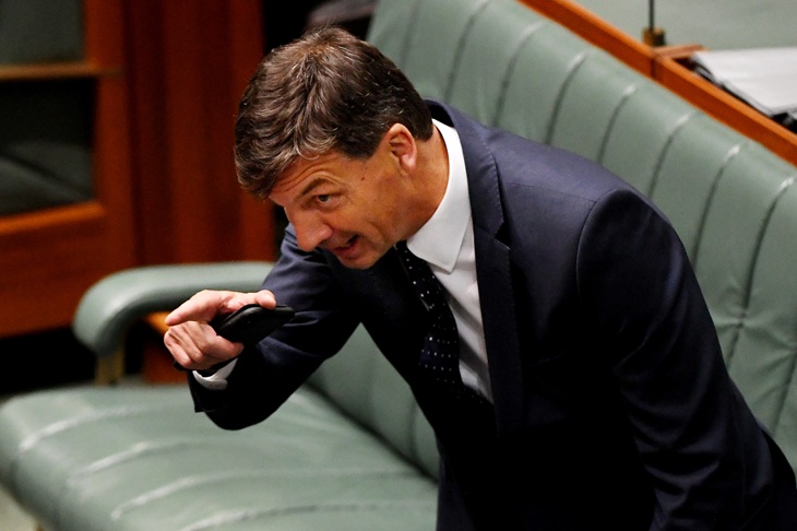 Leaked immigration policy debacle a boon for Angus Taylor