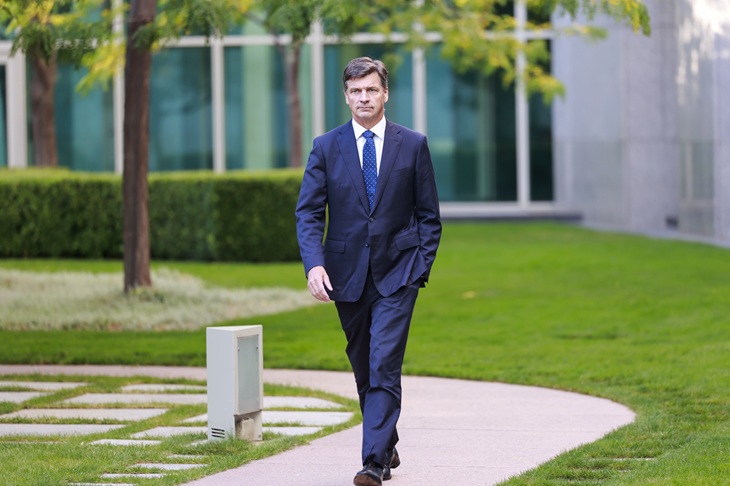 Angus Taylor quits shadow cabinet to challenge Sussan Ley