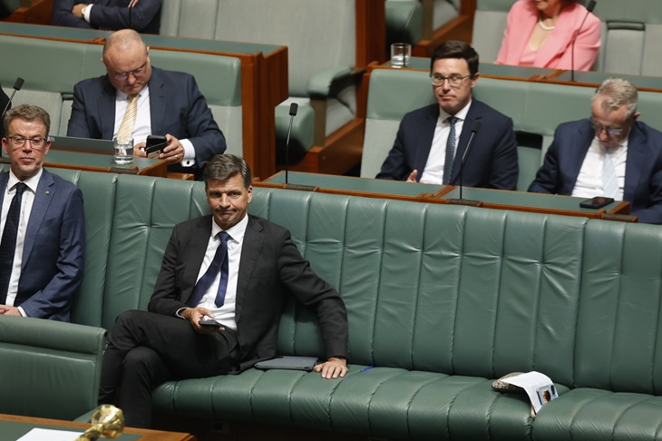 Angus Taylor: the last king?