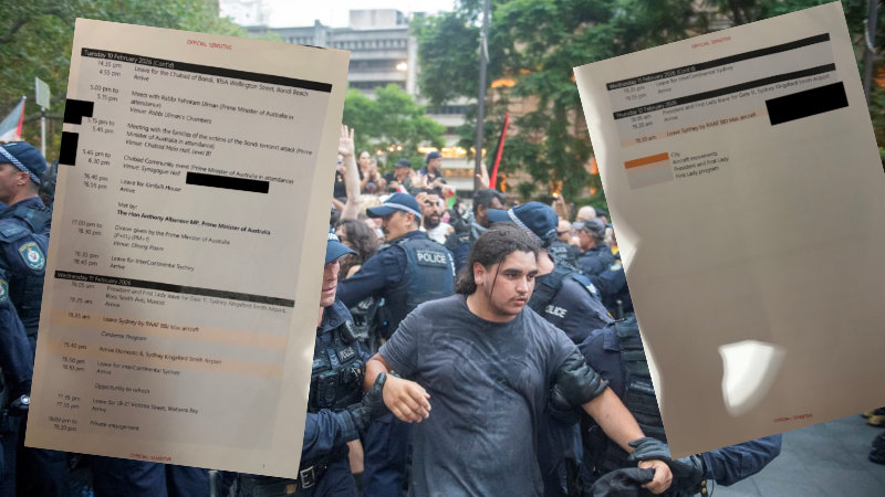 Herzog itinerary: lunch at Government House, dinner at Kirribilli with Albo