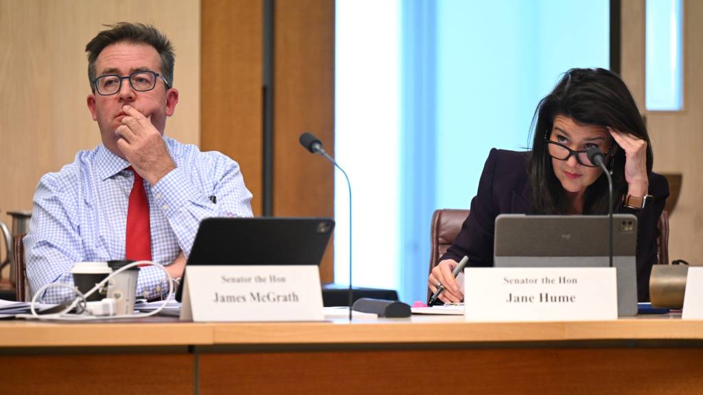 AGD backs DPS on privilege as Senate probes data handling, legal panel choices