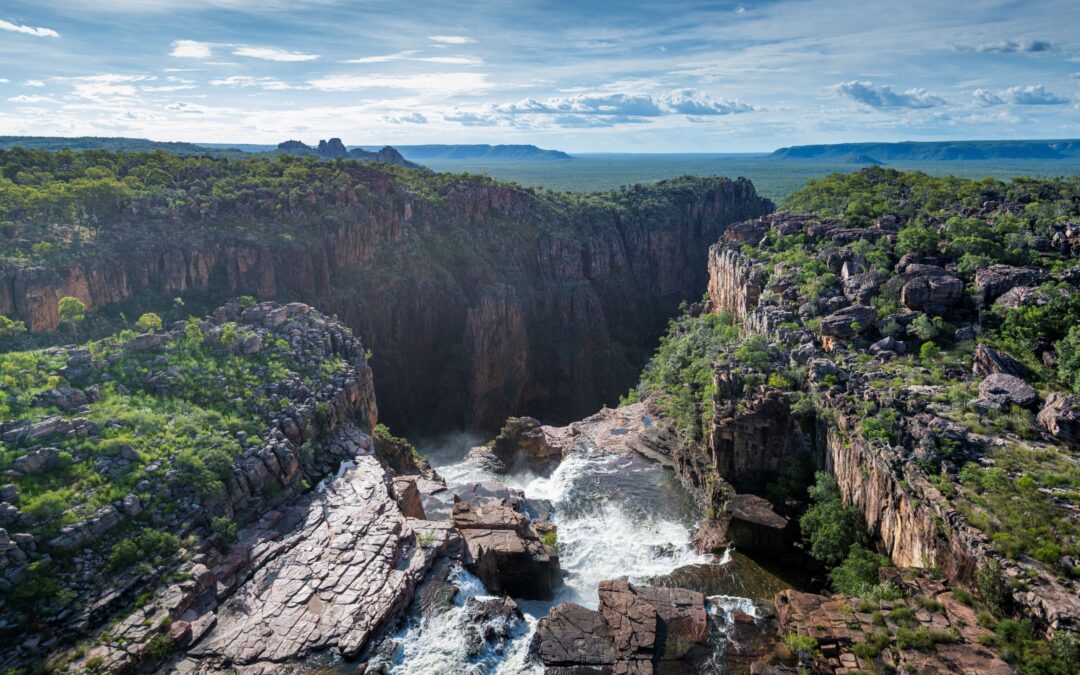 On what’s on the industry spotlight for action this year – ASBEC has a fair idea