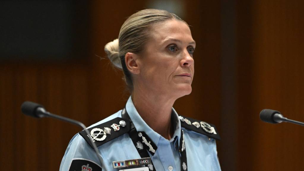 AFP boosts capacity to chase bad actors