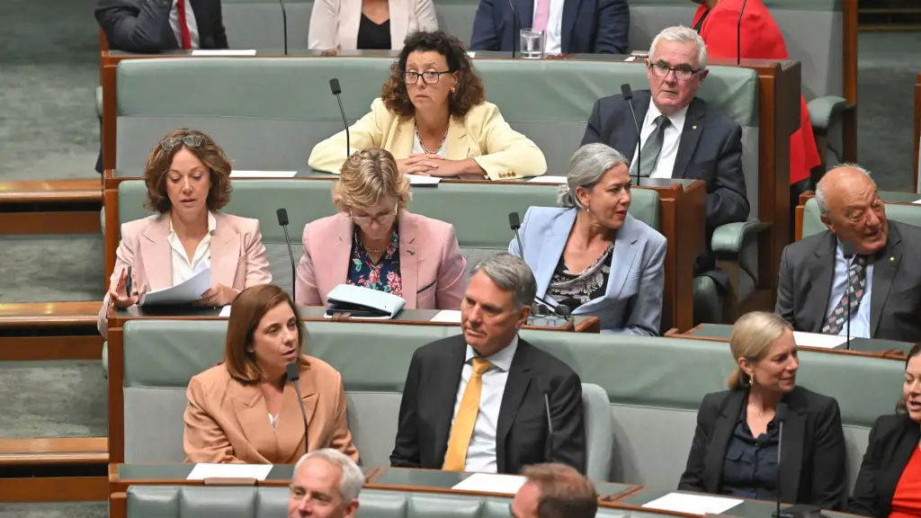 Government to establish National Firearms Safety Council