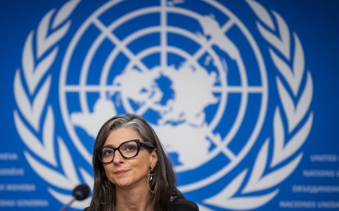 Over 100 artists for Palestine back UN’s Albanese after resignation calls